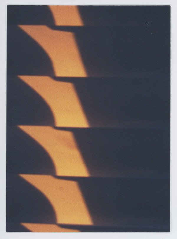 Untitled by The Katy Dove Estate