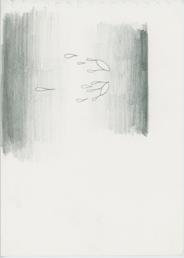 Untitled by The Katy Dove Estate