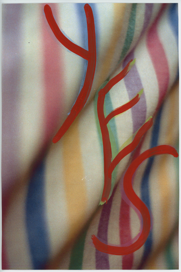 Untitled by The Katy Dove Archive