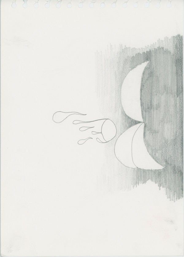 Untitled by The Katy Dove Estate