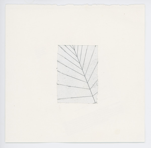 Untitled by The Katy Dove Estate
