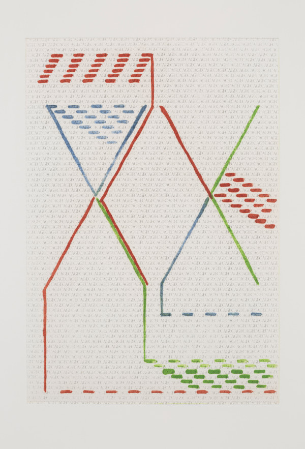CAGE 16/20 by The Katy Dove Archive
