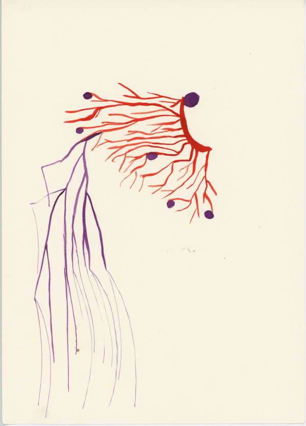 Untitled by The Katy Dove Estate