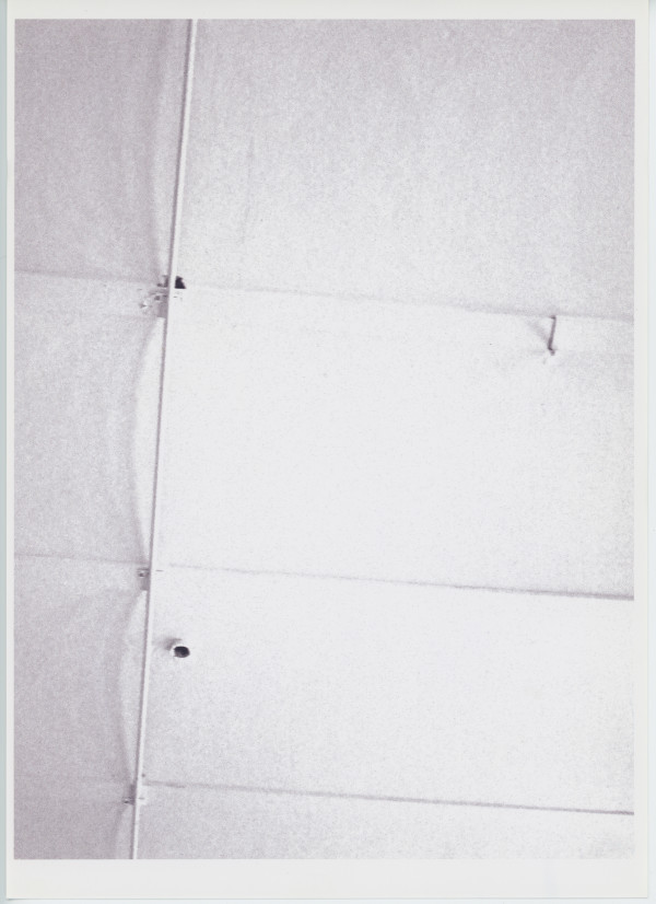 Untitled by The Katy Dove Estate