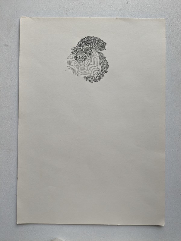 Untitled by The Katy Dove Estate
