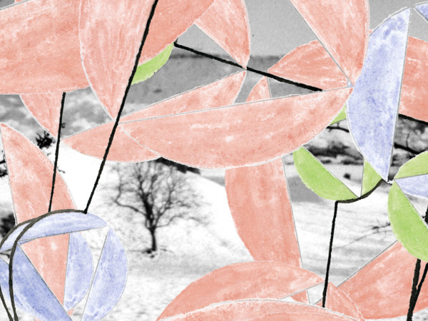 Upcountry by The Katy Dove Archive