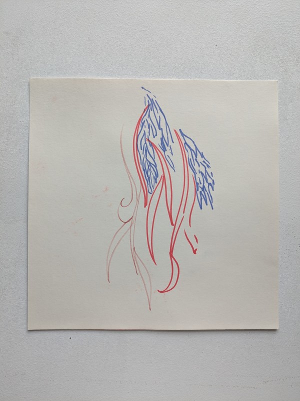 Untitled by The Katy Dove Estate