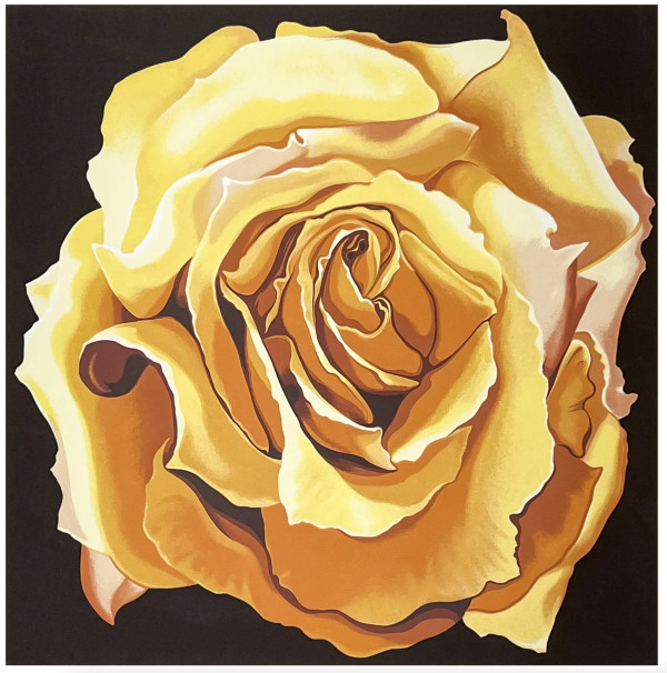 Yellow Rose by Lowell Nesbitt