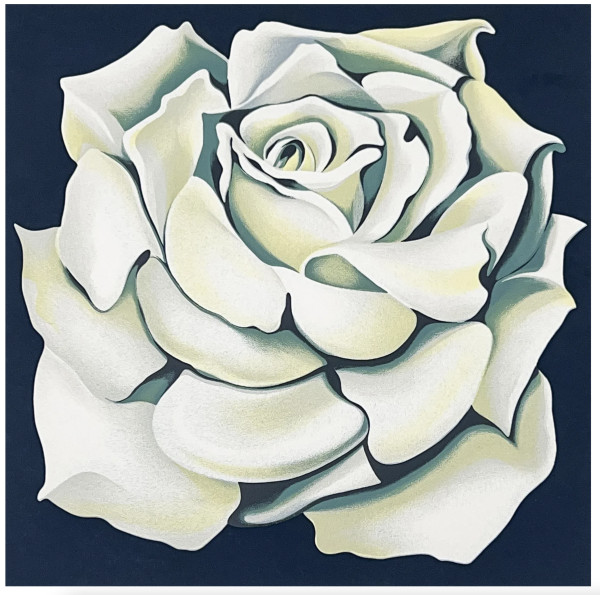 White rose by Lowell Nesbitt
