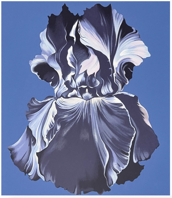 Blue Iris on Blue by Lowell Nesbitt