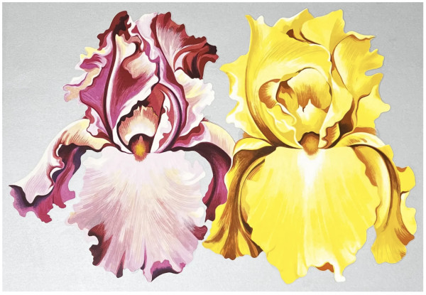 Pink and Yellow Irises by Lowell Nesbitt