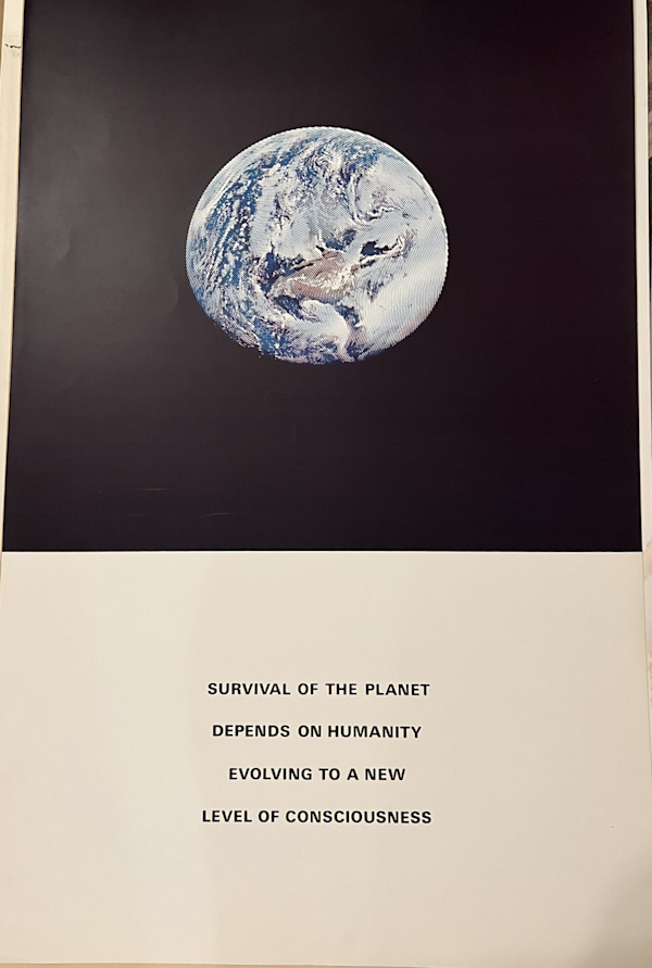 Survival of the planet by Alain Jacquet