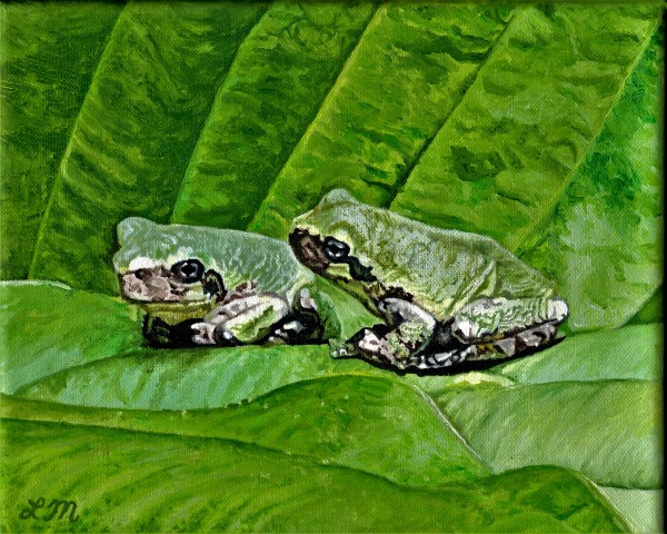 Frogs on Hosta by Leanne Marchand