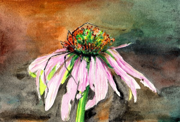Granddaddy on Coneflower by Leanne Marchand