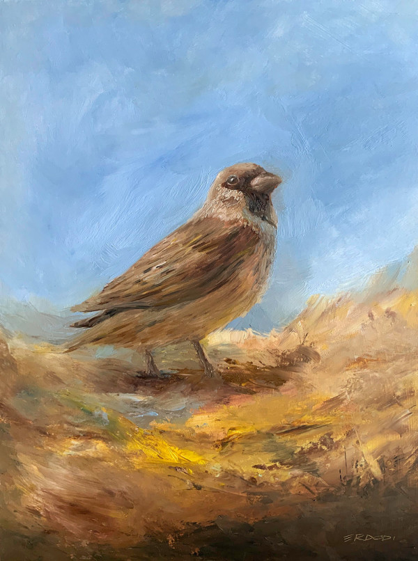 Sparrow BirdA01 by Tamas Erdodi