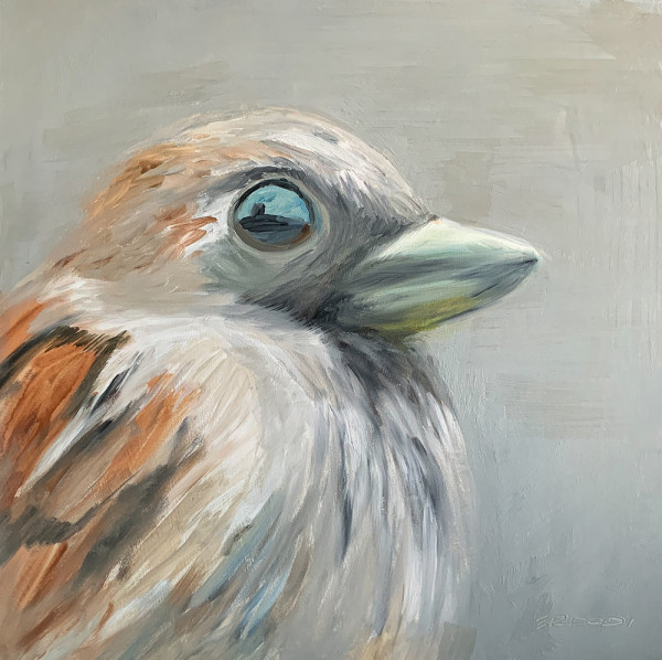 Sparrow by Tamas Erdodi