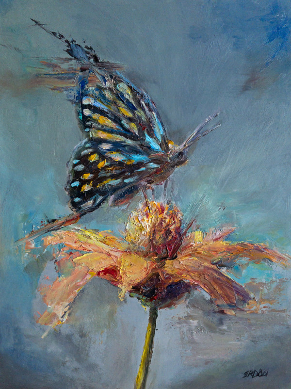 Butterfly by Tamas Erdodi
