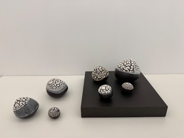 Piccolo universo bianco by Simona Bellini (1973)