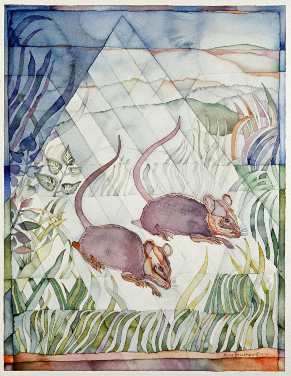 Mice in Grass by alice brickner