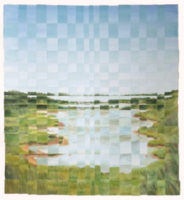 Wetlands Mosaic Big Bay by alice brickner