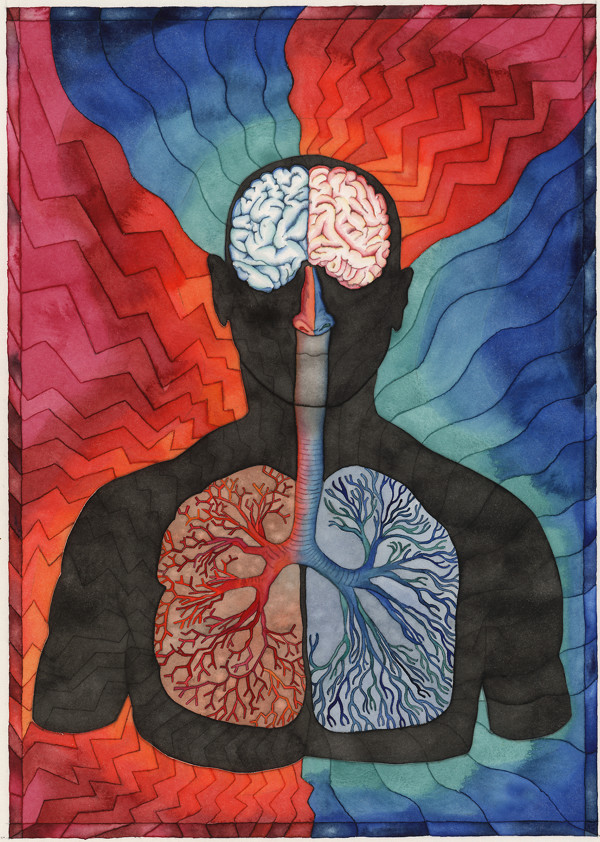 Brain Lungs Connection by alice brickner