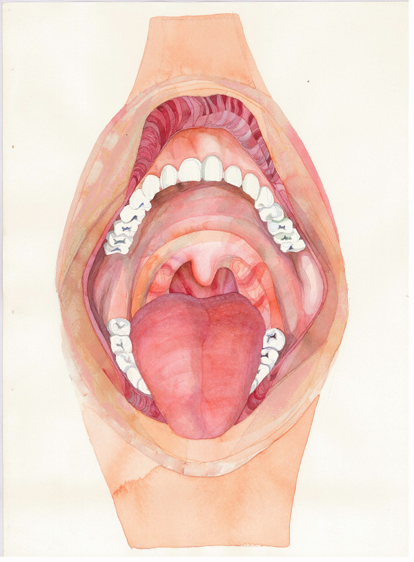 Open Mouth by alice brickner