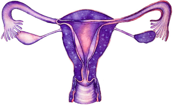 Uterus by alice brickner