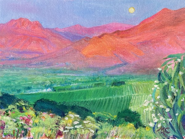 Ojai Pink Moon by May Charters