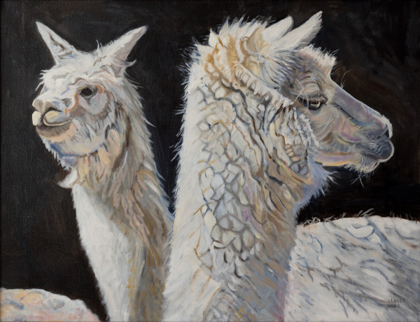 Alpacas Shy & Sophisticated by Joan M.Losee