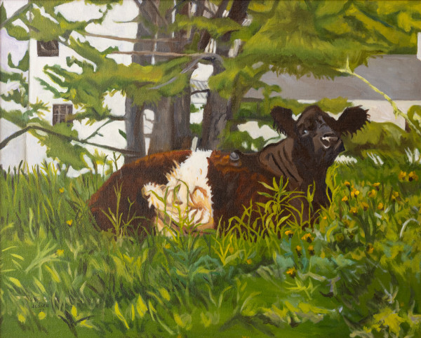 Belted Galloway by Joan M.Losee