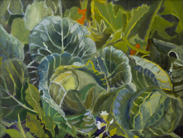 Cabbage and Squash by Joan M.Losee