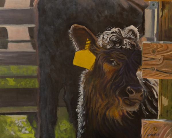 Calf #3 by Joan M.Losee