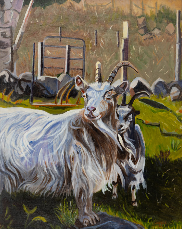 Cashmere Goats Grazing by Joan M.Losee