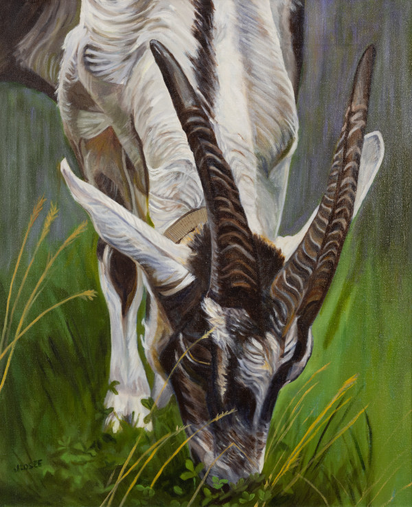 Goat Grazing by Joan M.Losee