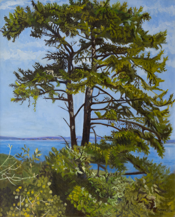 Overlooking Penobscot Bay by Joan M.Losee