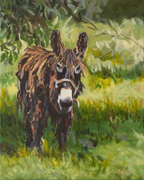 Poitou Donkey by Joan M.Losee