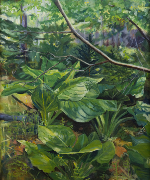 Skunk Cabbage in Spring by Joan M.Losee