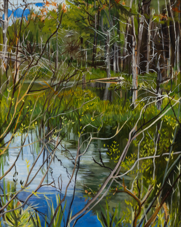 Somerville Swamp by Joan M.Losee