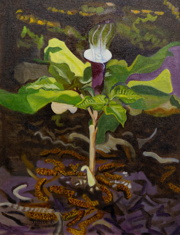 White Jack in the Pulpit by Joan M.Losee