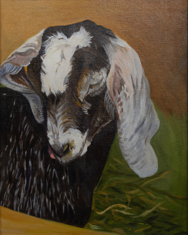 Young Goat by Joan M.Losee