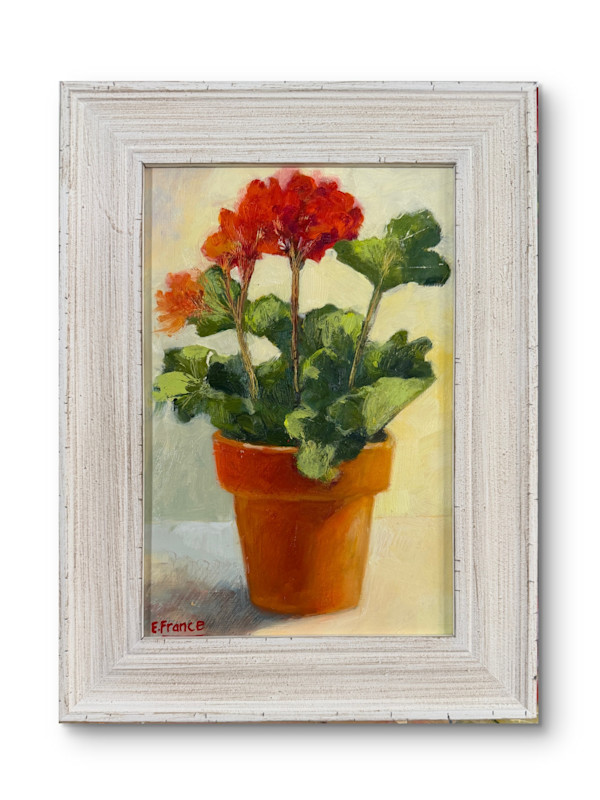Geraniums O so Orange by Elle France, Image 4.