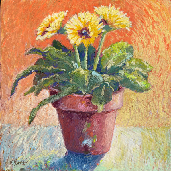 Gerbera Love by Elle France