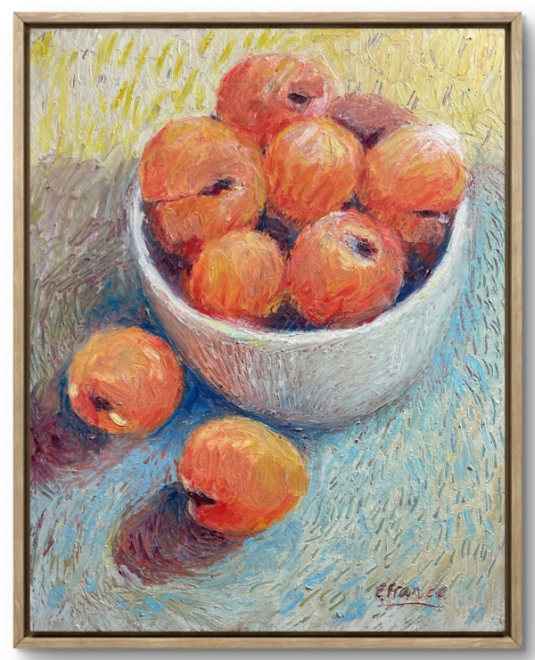 Bologna Apricots by Elle France