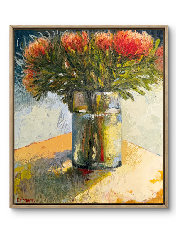Leucospermums in  Morning Light by Elle France, Image 1.