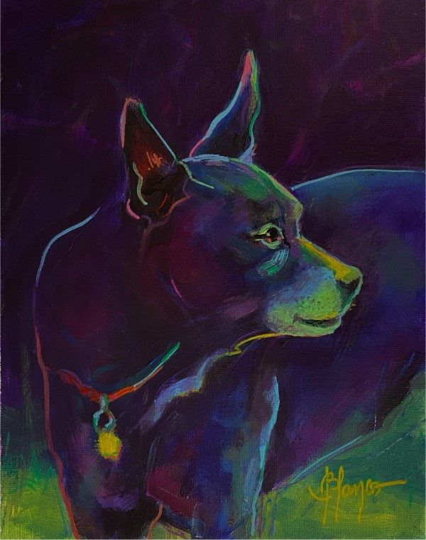 Chihuahua by Jeannina Blanco
