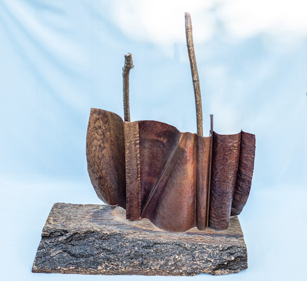 Meandering Coastline by Artist Aimee J