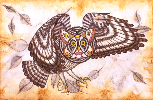 Moth faced Owl by Artist Aimee J