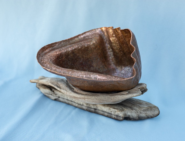 Sea Shell Form by Artist Aimee J, Image 1.