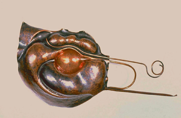 Ceremonial Shield by Artist Aimee J
