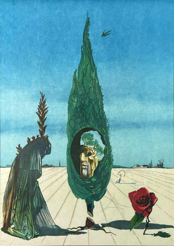 Enigma of the Rose by Salvador Dalí